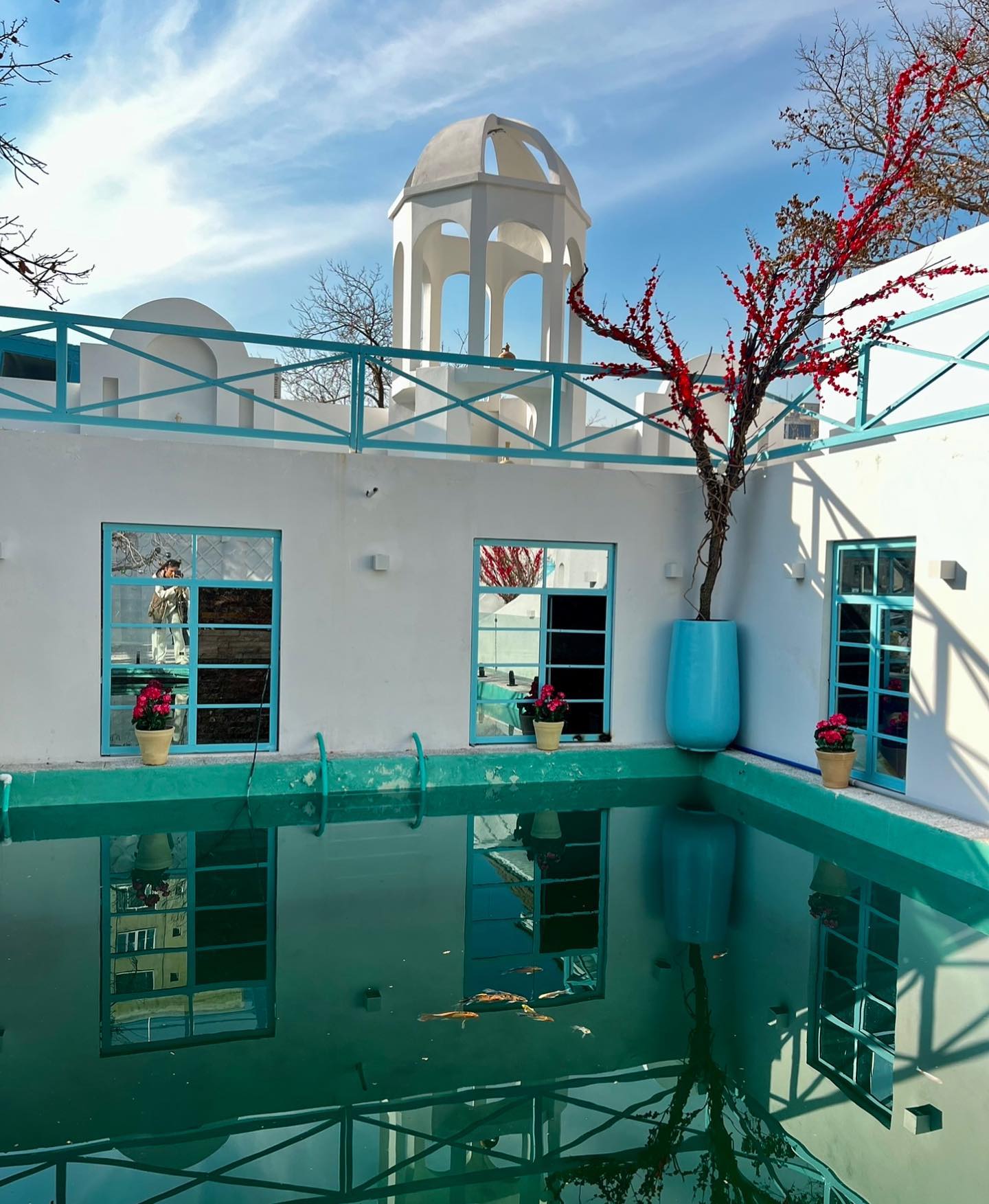 باغ رستوران آمور گاردن